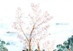 音無山の桜